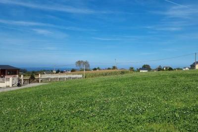 Parcela en venta en Coaña