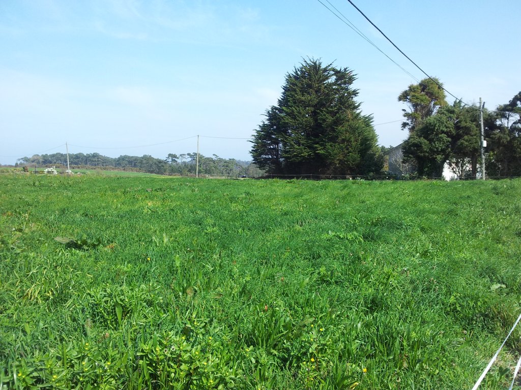 Plot en venda in Coaña