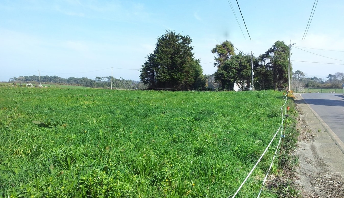 Plot en venda in Coaña