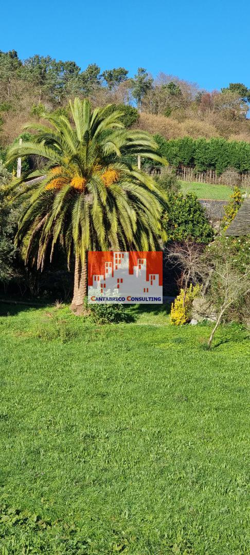 Finca Edificable con Casa a Rehabilitar y Hórreo en estado aceptable en Villacondide, Coaña