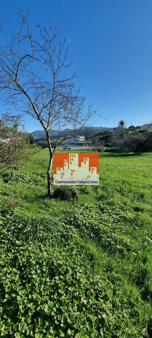 Finca Edificable con Casa a Rehabilitar y Hórreo en estado aceptable en Villacondide, Coaña