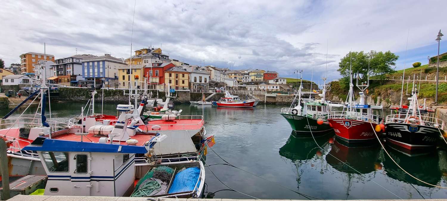 **Oportunidad Única: Venta de Restaurante en Puerto de Vega, Asturias**