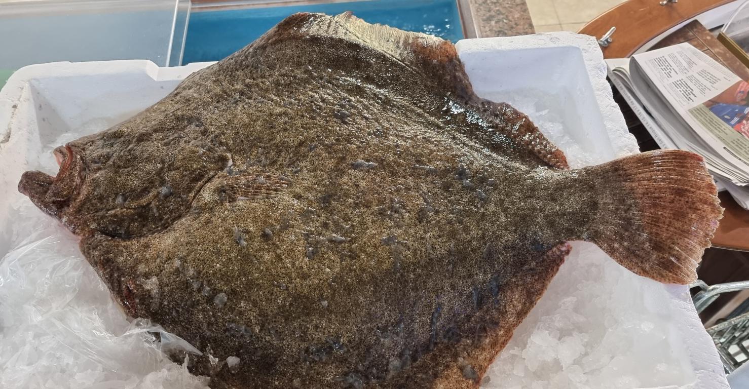 **Oportunidad Única: Venta de Restaurante en Puerto de Vega, Asturias**