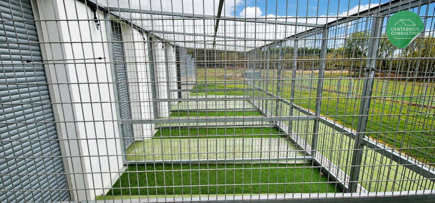 Exclusiva Propiedad con Hotel de Mascotas y Vivienda en Rozas (Lugo)