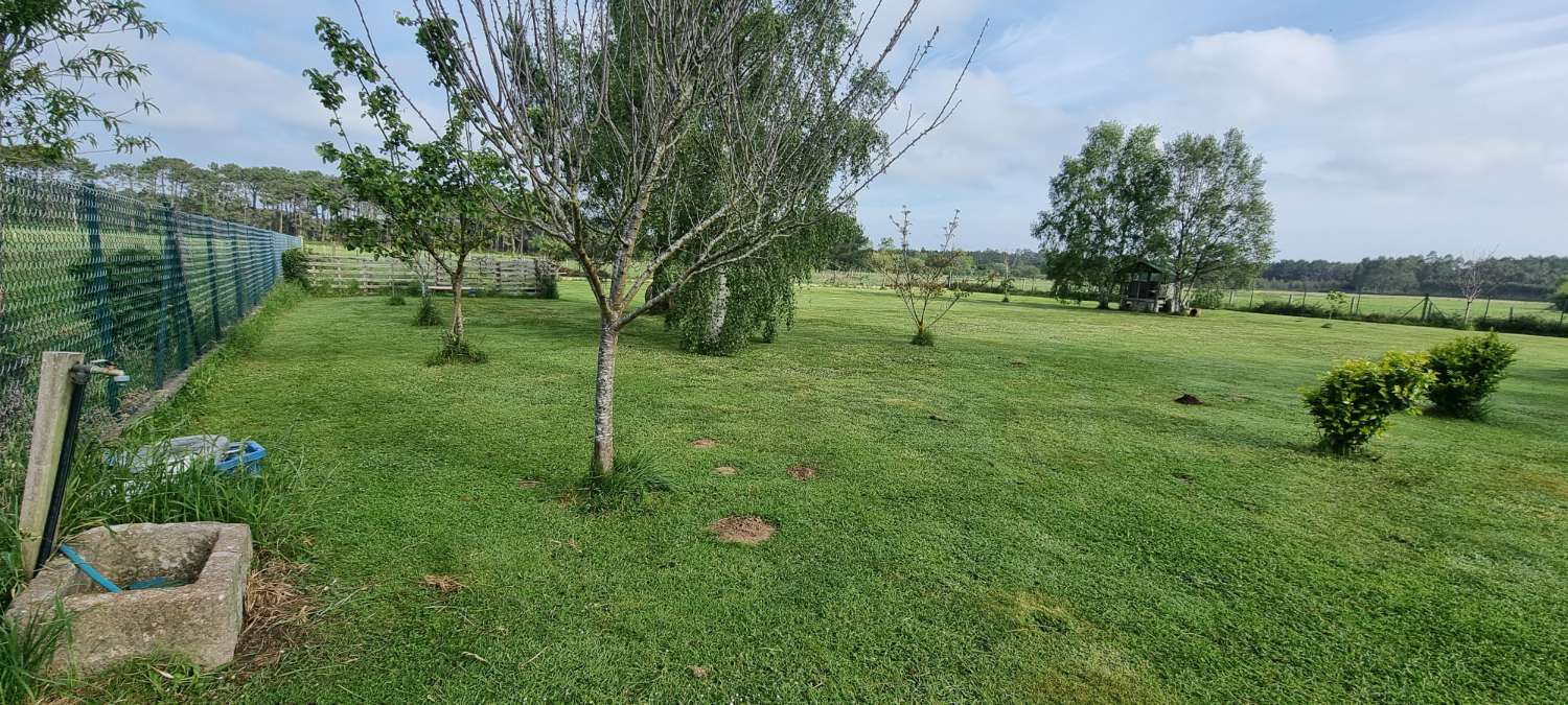 IMPECABLE PARCELA CON DOBLE DISTRIBUCIÓN EN CASTROPOL.