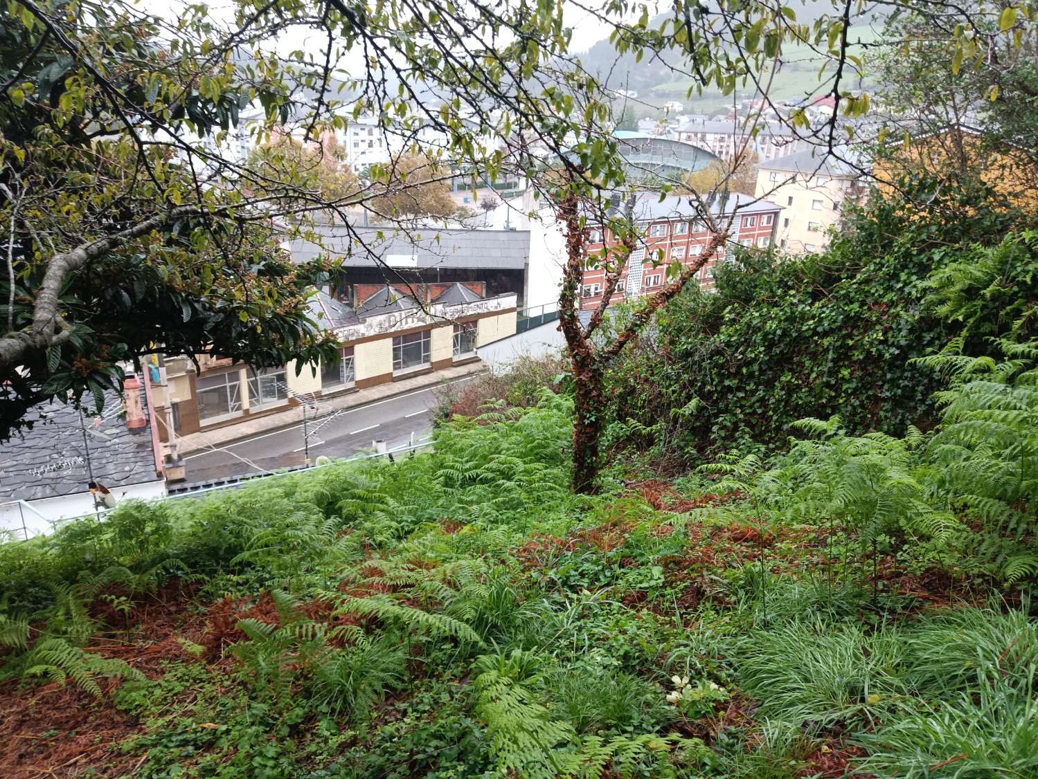 屋 出售 在 Vegadeo