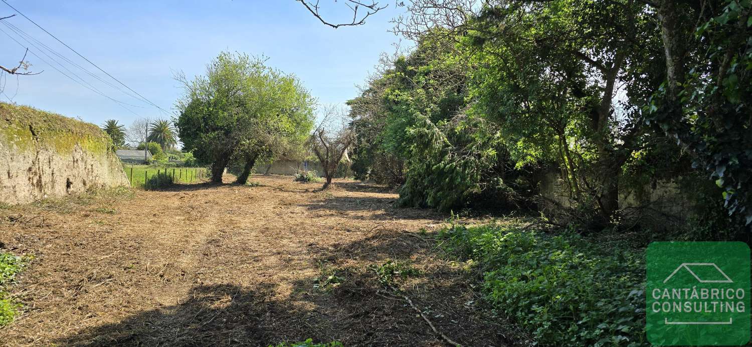 TRADICIONAL CASA DE CAMPO ASTURIANA CON FINCA DE 1.470 m².