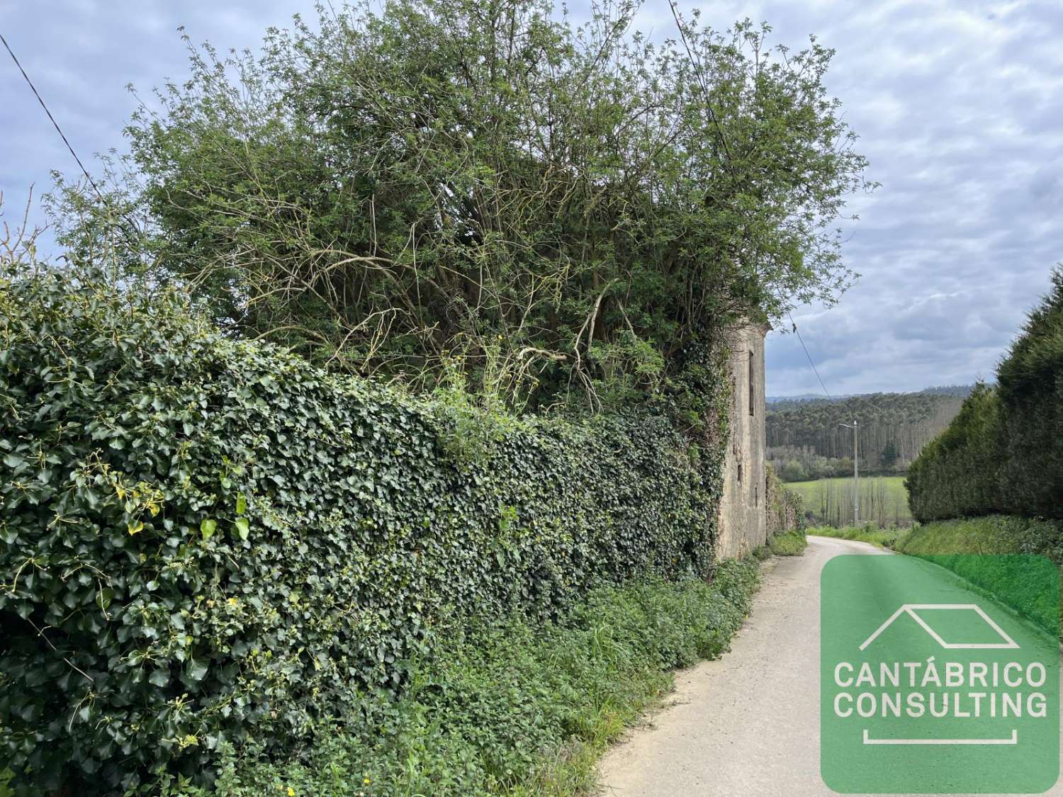 Maison en vente à Castropol