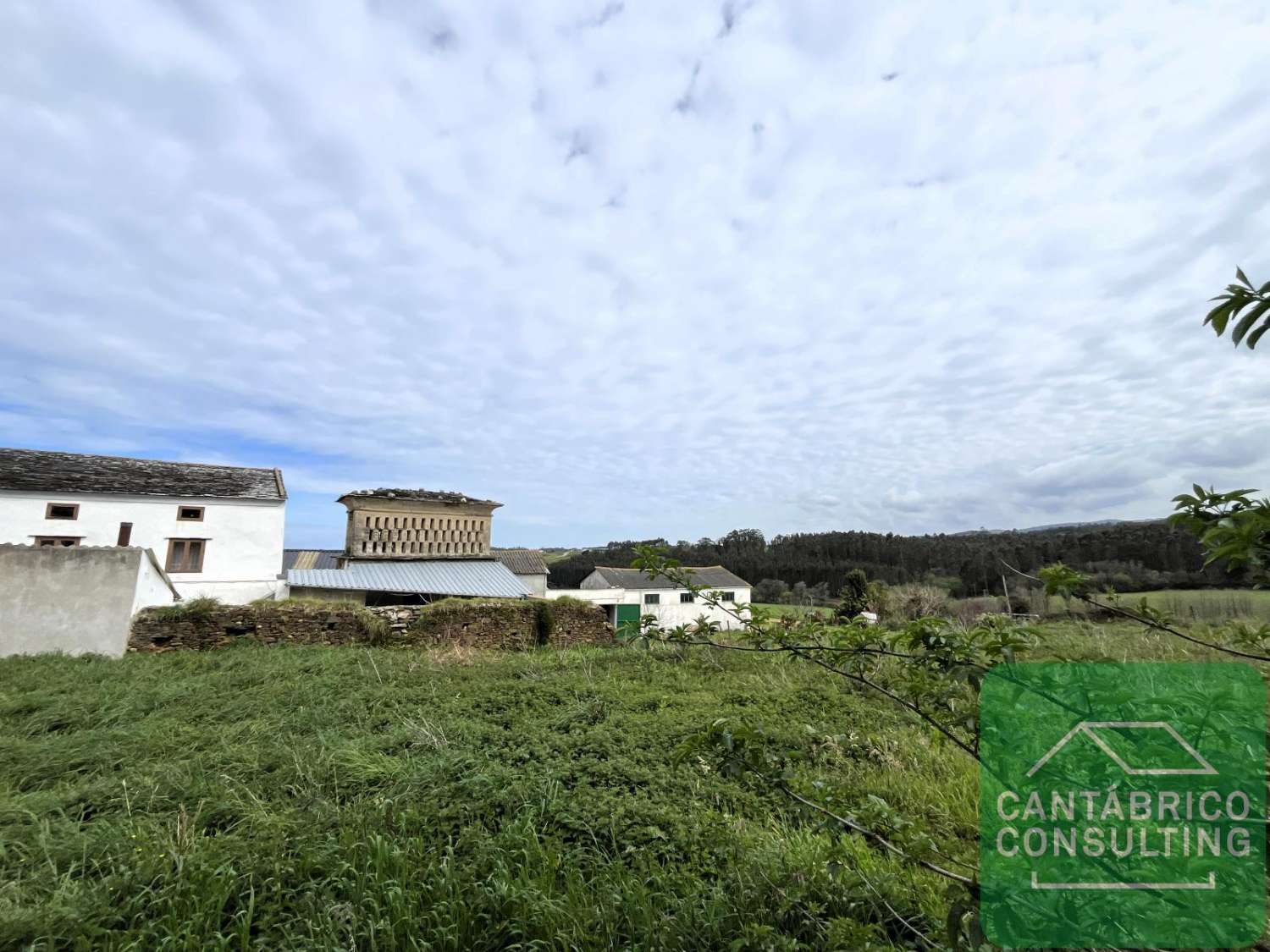 Maison en vente à Castropol