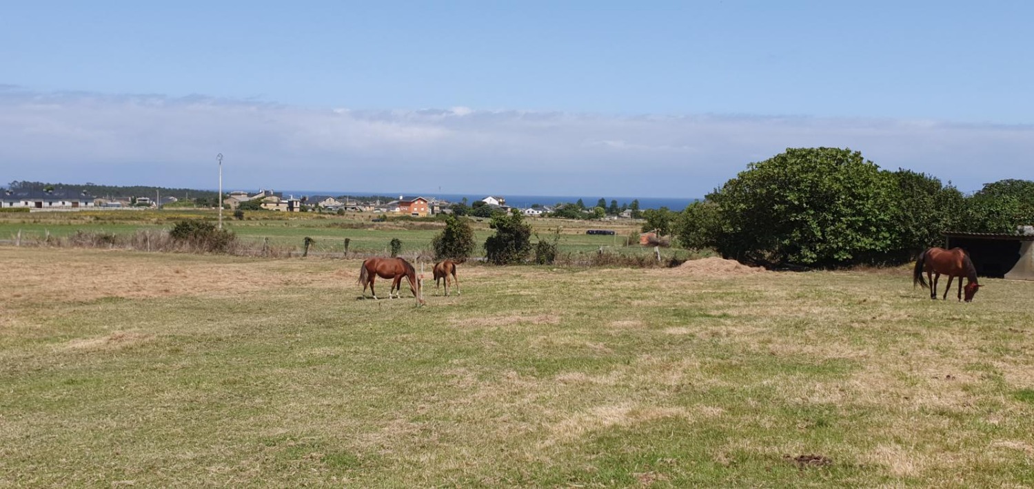 VILLAFRAMIL RIBADEO LUGO PARCELA EDFICABLE DE 1.500 METROS CON VISTAS
