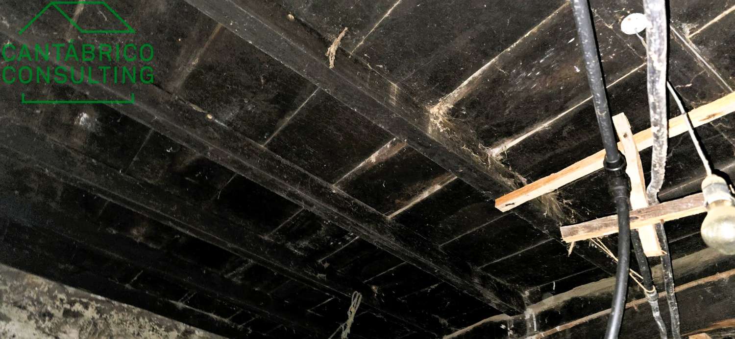 GRAN CASA A REFORMAR CON FINCA  AL LADO DEL RIO NAVIA - PORTO - COAÑA