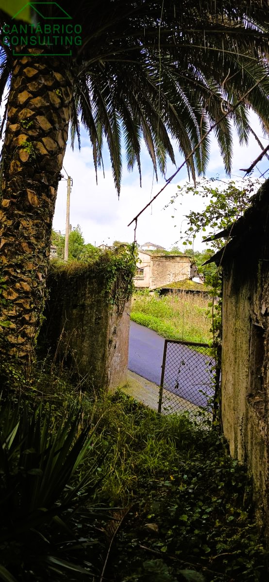 GRAN CASA A REFORMAR CON FINCA  AL LADO DEL RIO NAVIA - PORTO - COAÑA