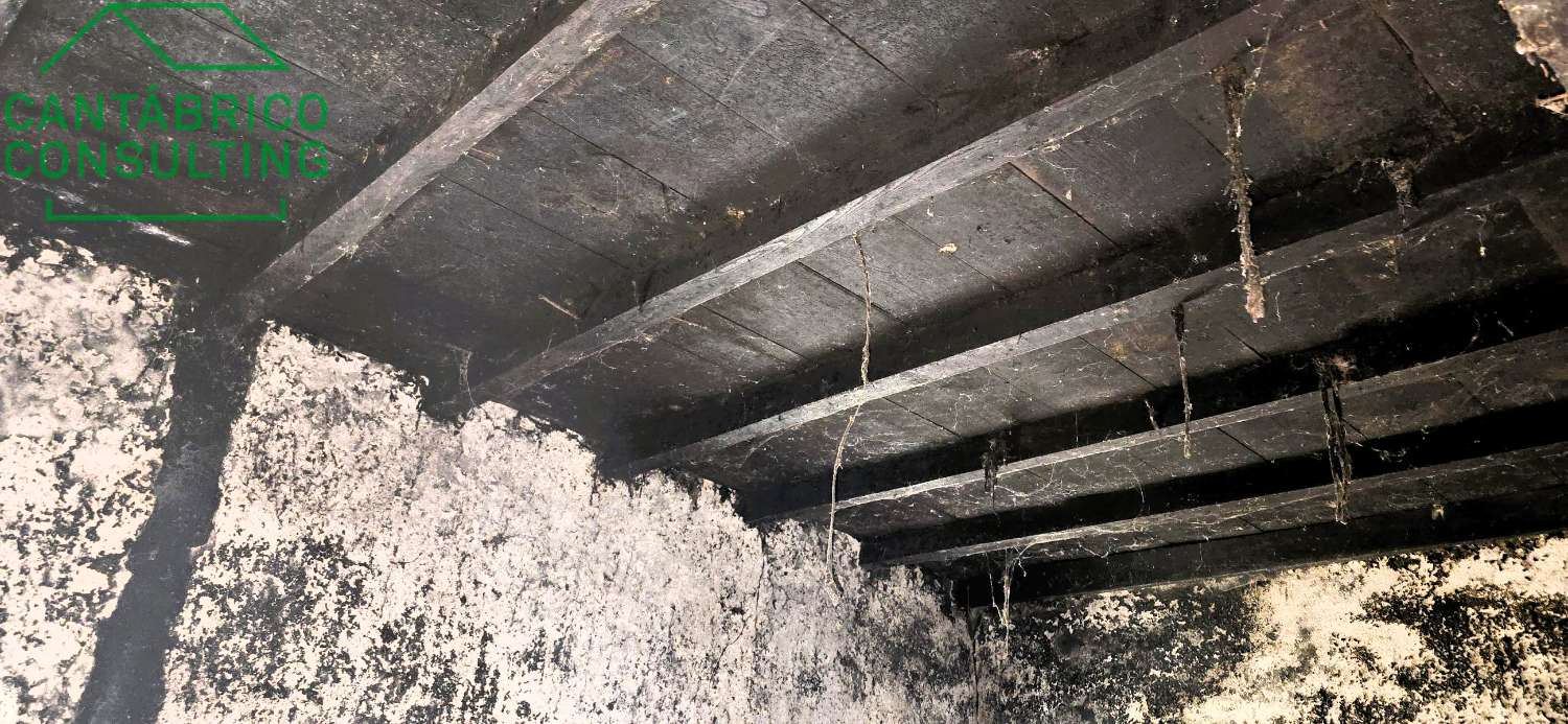 GRAN CASA A REFORMAR CON FINCA  AL LADO DEL RIO NAVIA - PORTO - COAÑA