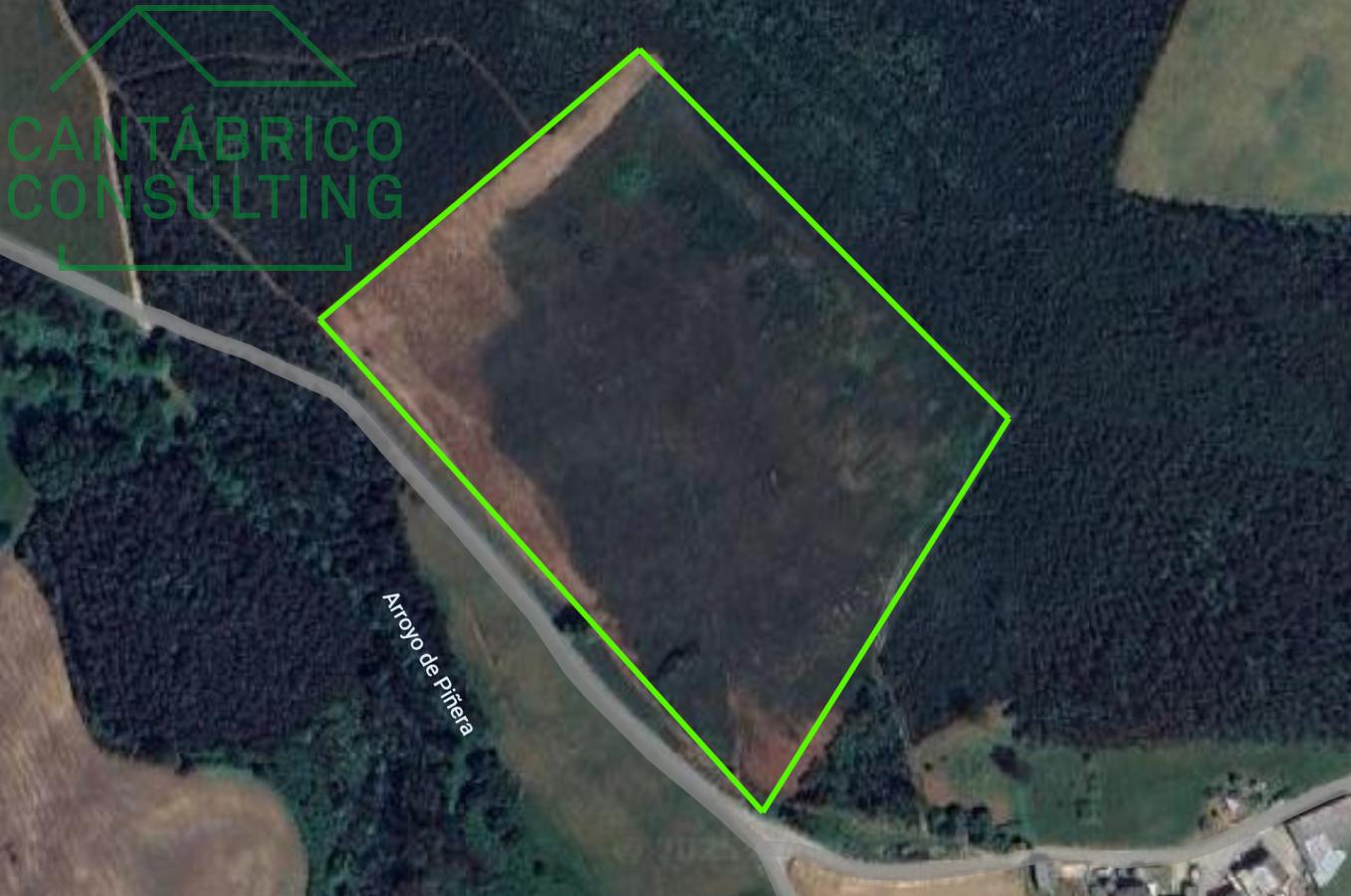 FINCA RUSTICA AGRICOLA EN PERUYEIRA SAN JUAN DE PRENDONES -