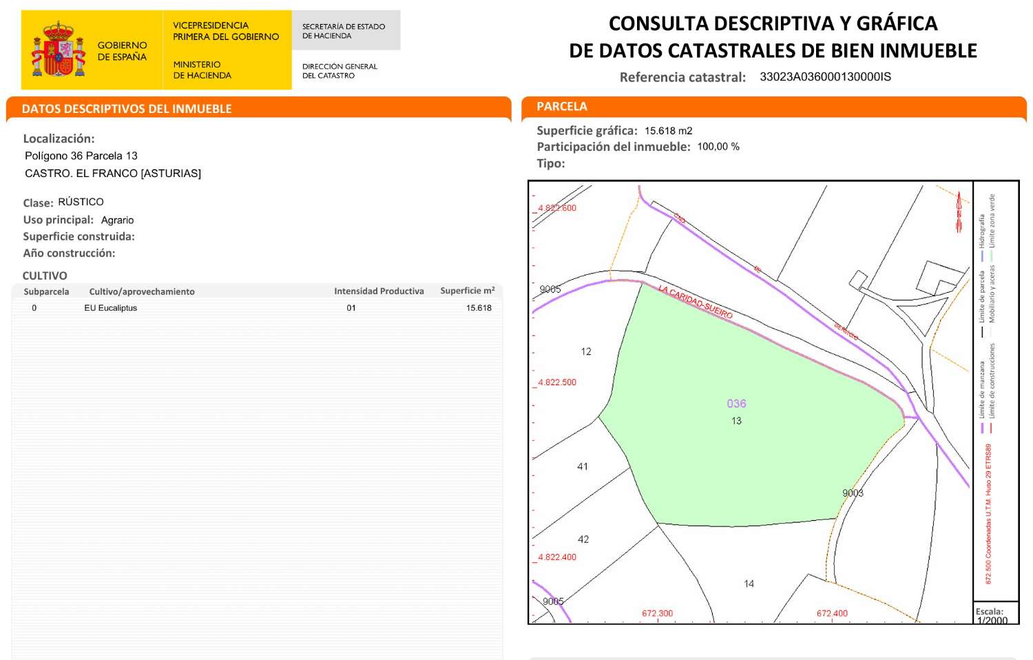 FINCA RUSTICA AGRICOLA A MONTE EN SAN JUAN DE PRENDONES - EL FRANCO - ASTURIAS