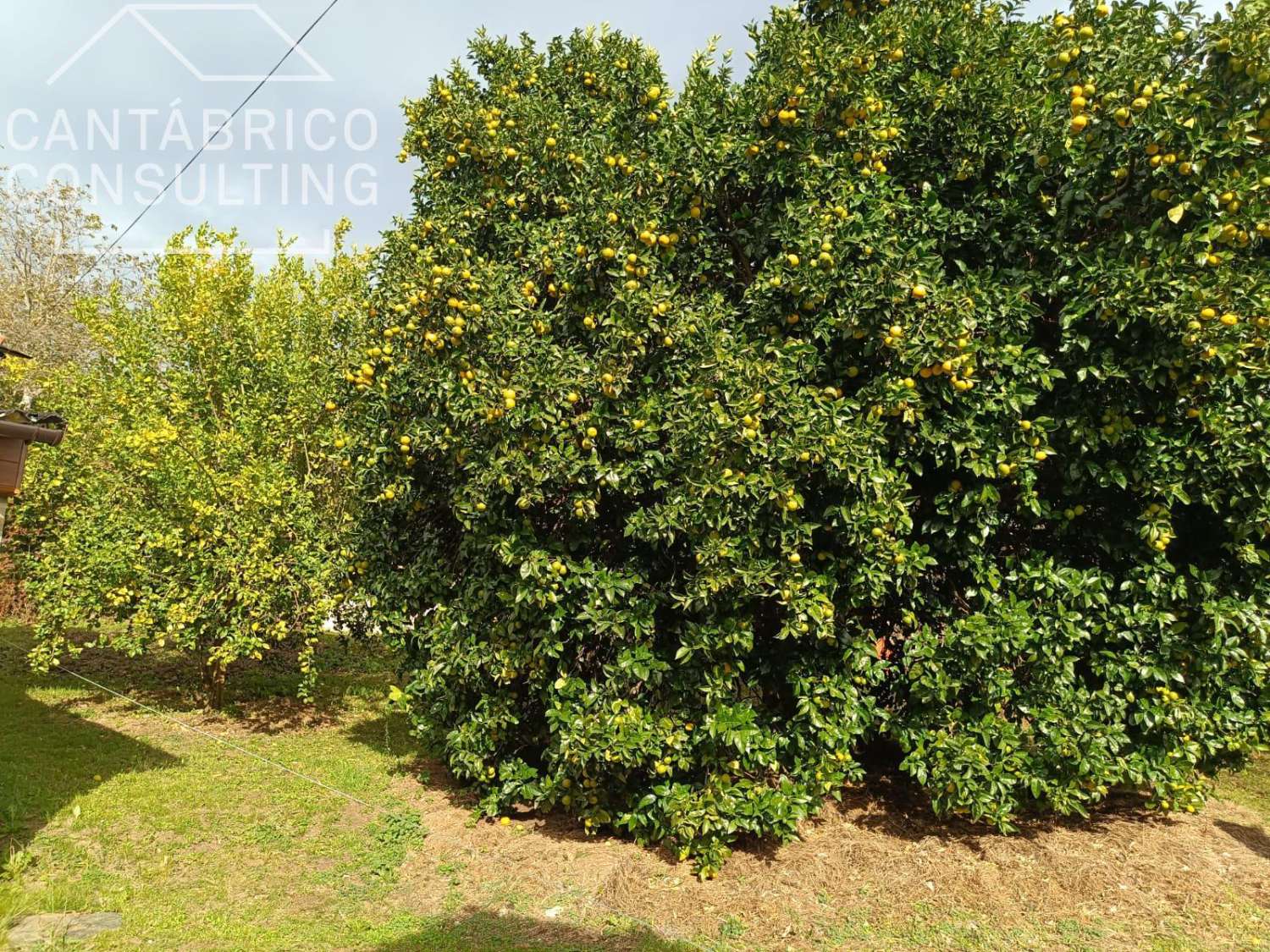 House for sale in Coaña