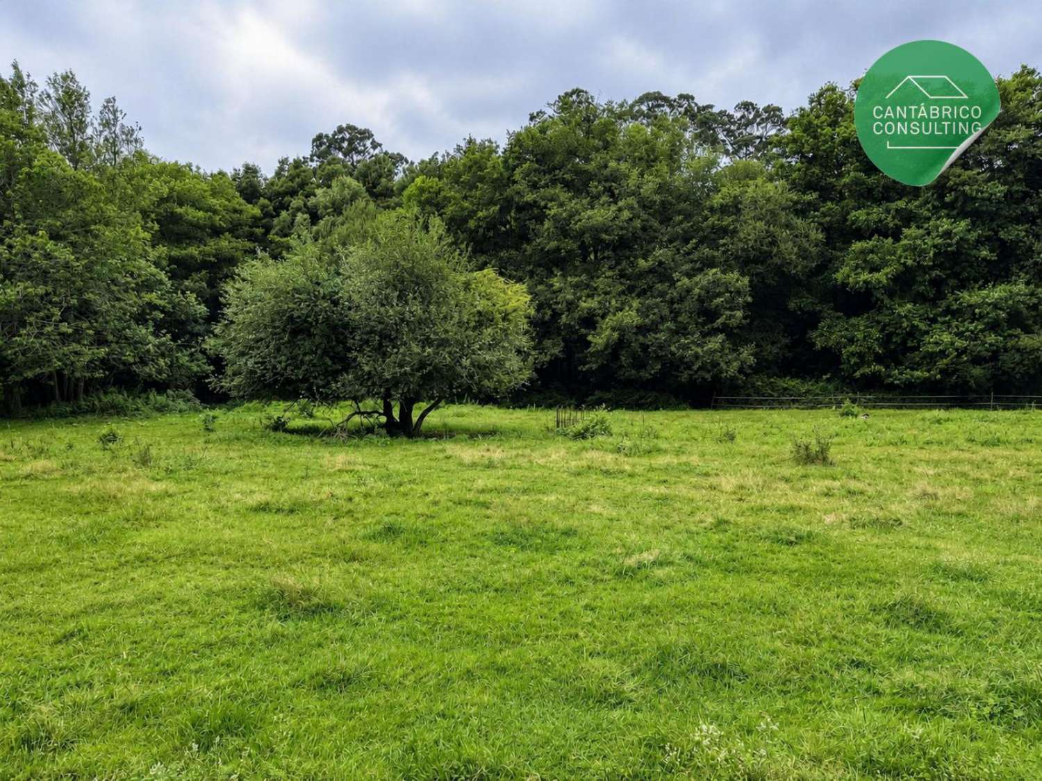 Propiedad con molino centenario junto al río Porcía, Sueiro, El Franco - Asturias
