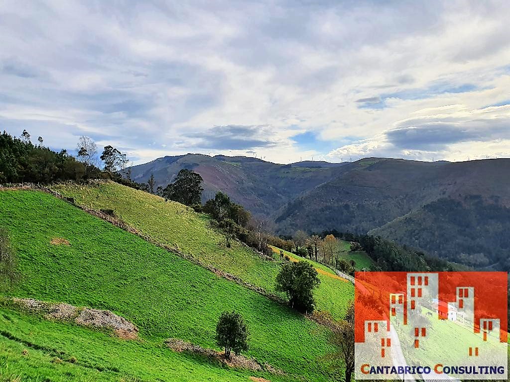 DOS FINCAS CON CASA Y CABAÑA EN PLENA MONTAÑA DE VALDES CON MUCHA NECESIDAD DE LIMPIEZA Y ADECUACIÓN CON ACCESO PARA TODOTERRENO