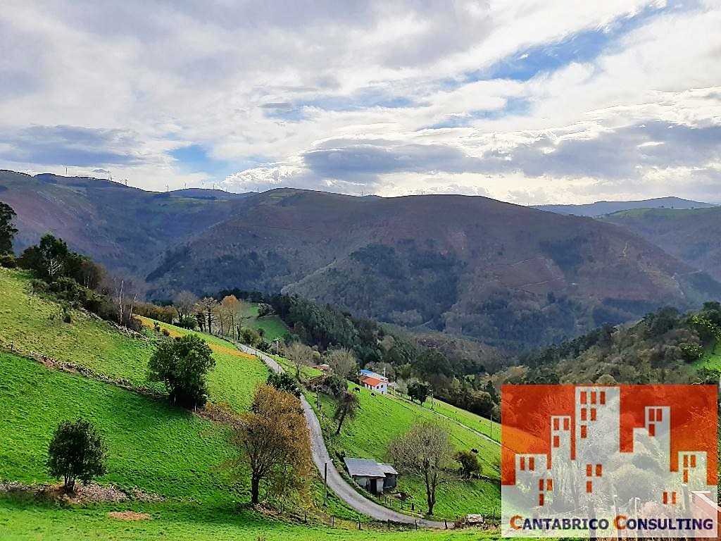 DOS FINCAS CON CASA Y CABAÑA EN PLENA MONTAÑA DE VALDES CON MUCHA NECESIDAD DE LIMPIEZA Y ADECUACIÓN CON ACCESO PARA TODOTERRENO