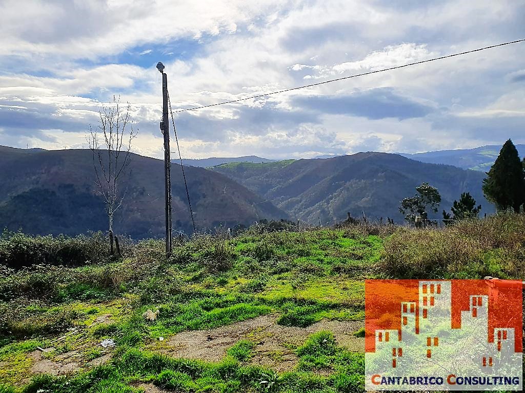 DOS FINCAS CON CASA Y CABAÑA EN PLENA MONTAÑA DE VALDES CON MUCHA NECESIDAD DE LIMPIEZA Y ADECUACIÓN CON ACCESO PARA TODOTERRENO