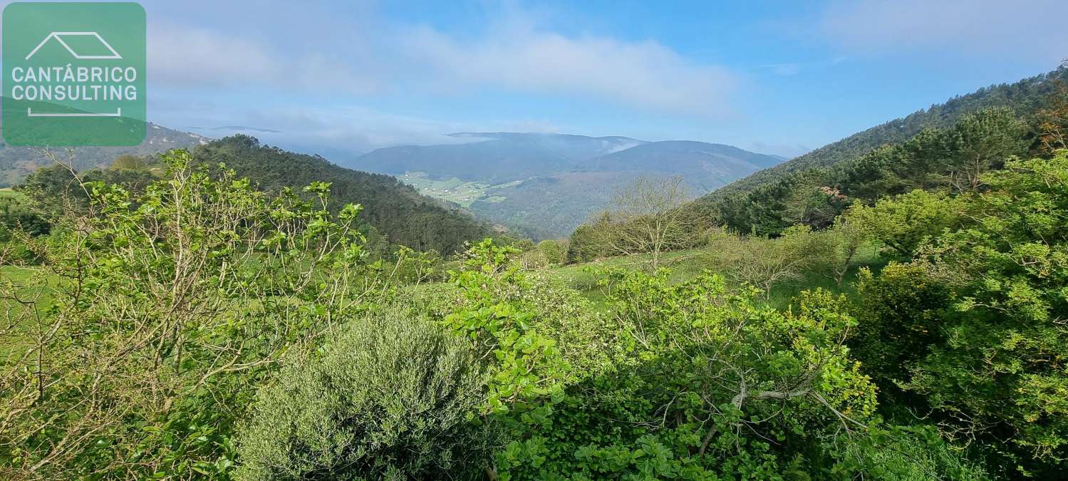 Casa Totalmente habitable con mucha Finca en alto de Villayón. Naturaleza Viva