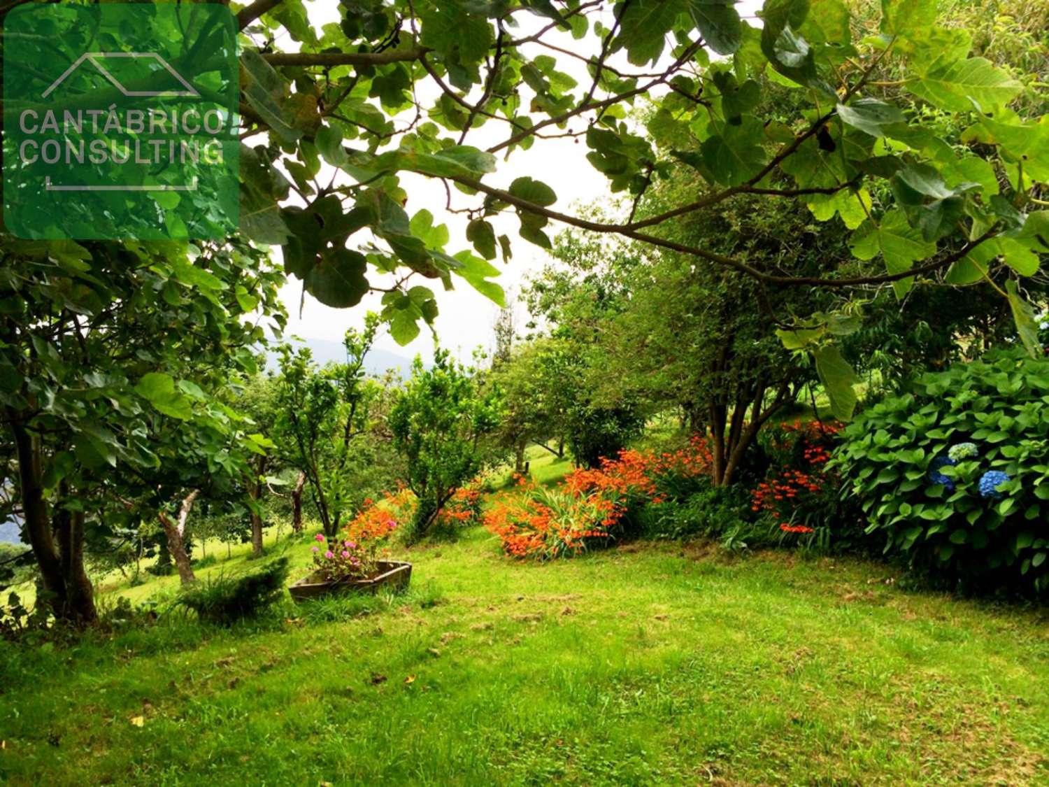 Casa Totalmente habitable con mucha Finca en alto de Villayón. Naturaleza Viva