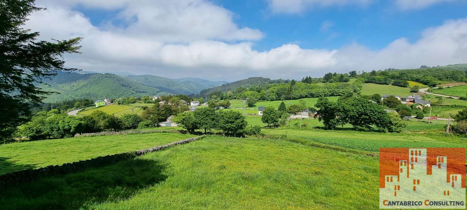 PROPIEDAD COMPUESTA DE FINCA, CASA TRADICIONAL ASTURIANA Y ALMACEN EN ROZADAS, BOAL