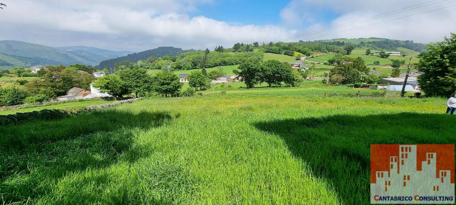 PROPIEDAD COMPUESTA DE FINCA, CASA TRADICIONAL ASTURIANA Y ALMACEN EN ROZADAS, BOAL