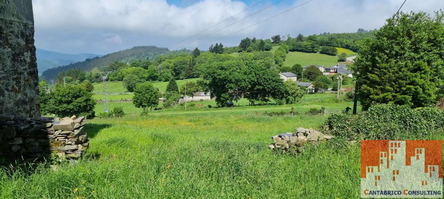 PROPIEDAD COMPUESTA DE FINCA, CASA TRADICIONAL ASTURIANA Y ALMACEN EN ROZADAS, BOAL