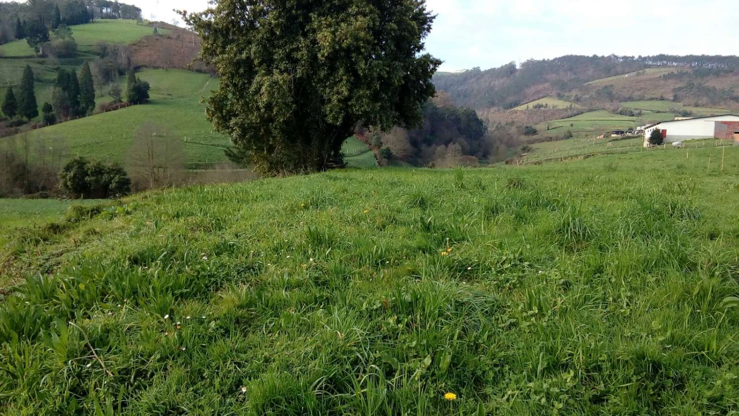 Parcelle en vente à Valdés