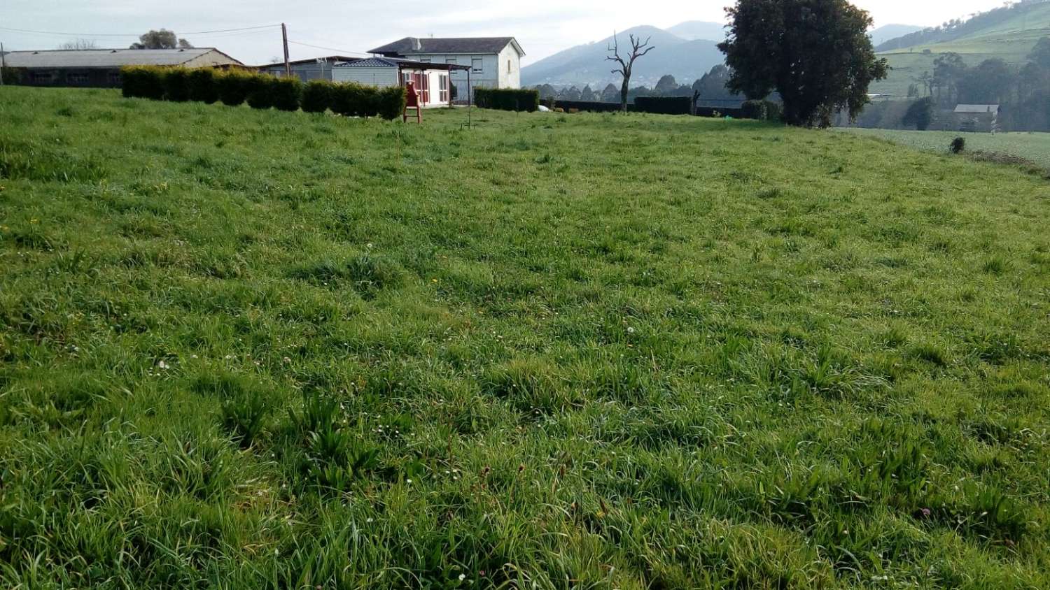 Plot for sale in Valdés